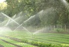 Cowralandscaping-water-management-and-drainage-17.jpg; ?>